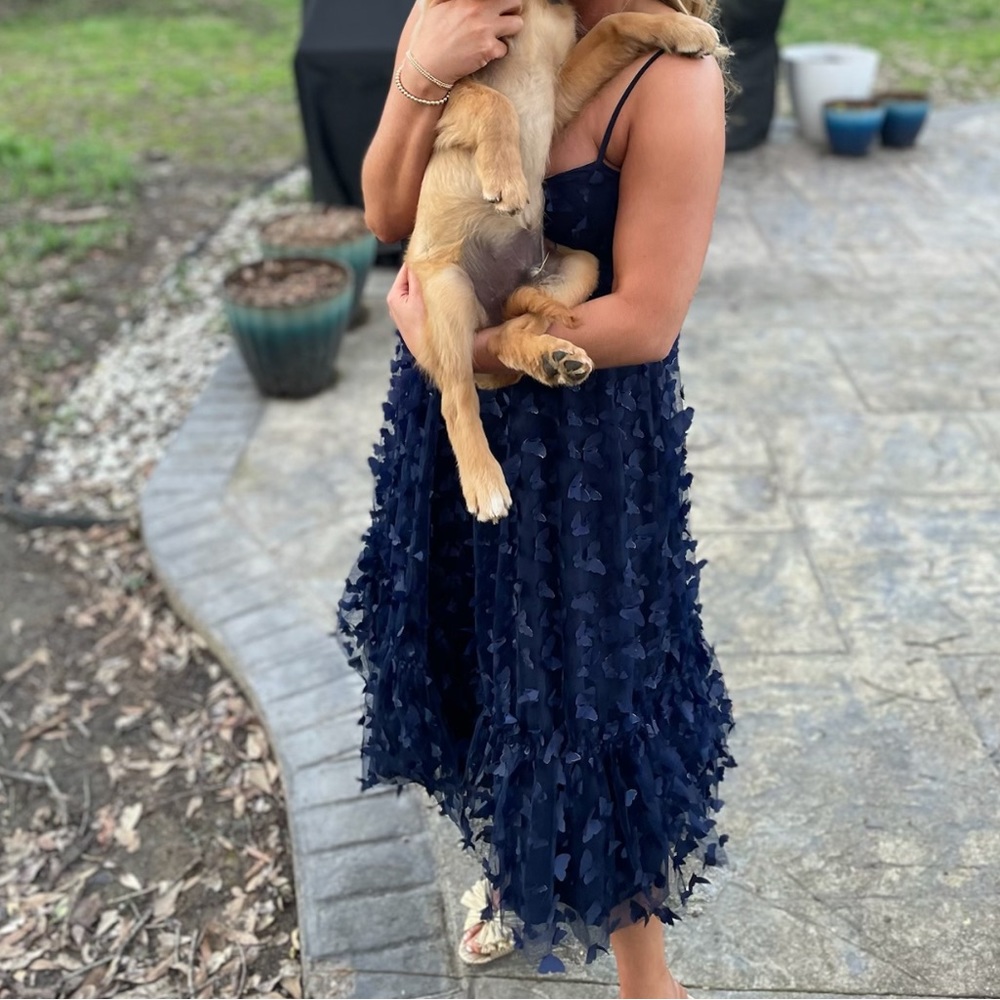 Lulus navy butterfly appliqué midi dress